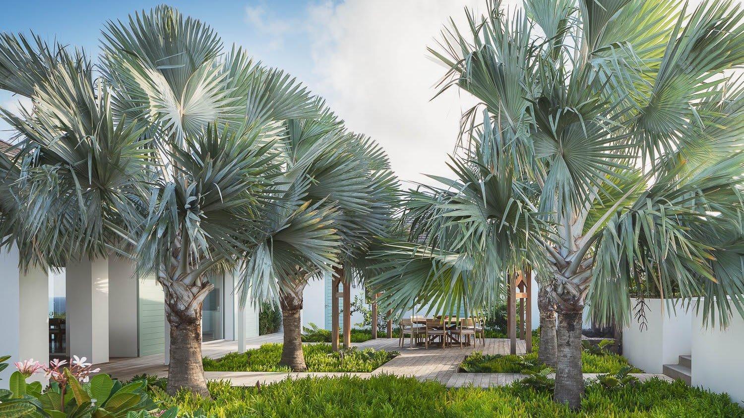 Ideally Located Prestigious Villa Toiny エクステリア 写真